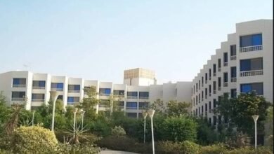 “الجيزة-للمقاولات”-تنفذ-أعمال-لـ”المجتمعات-العمرانية”-بـ237.6-مليون-جنيه