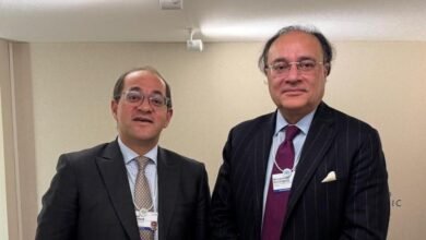 وزير-المالية:-مهتمون-بتعزيز-العلاقات-الثنائية-مع-باكستان-ودفع-مسار-التعاون